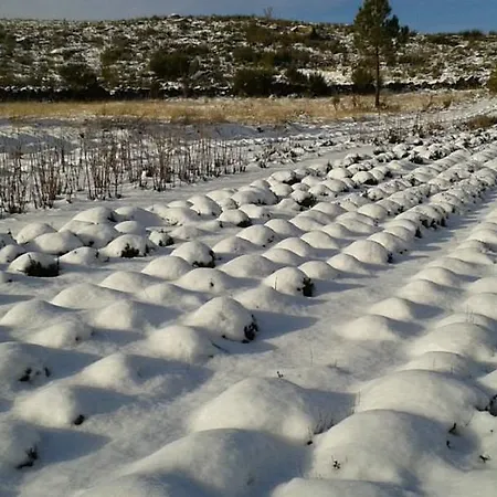 Venkovský dům Casa Do Arco - *