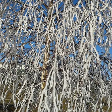 Country house Casa Do Arco - Mezio